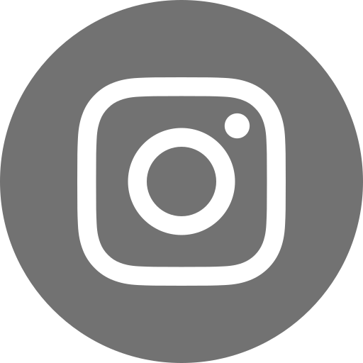 Insta button gray